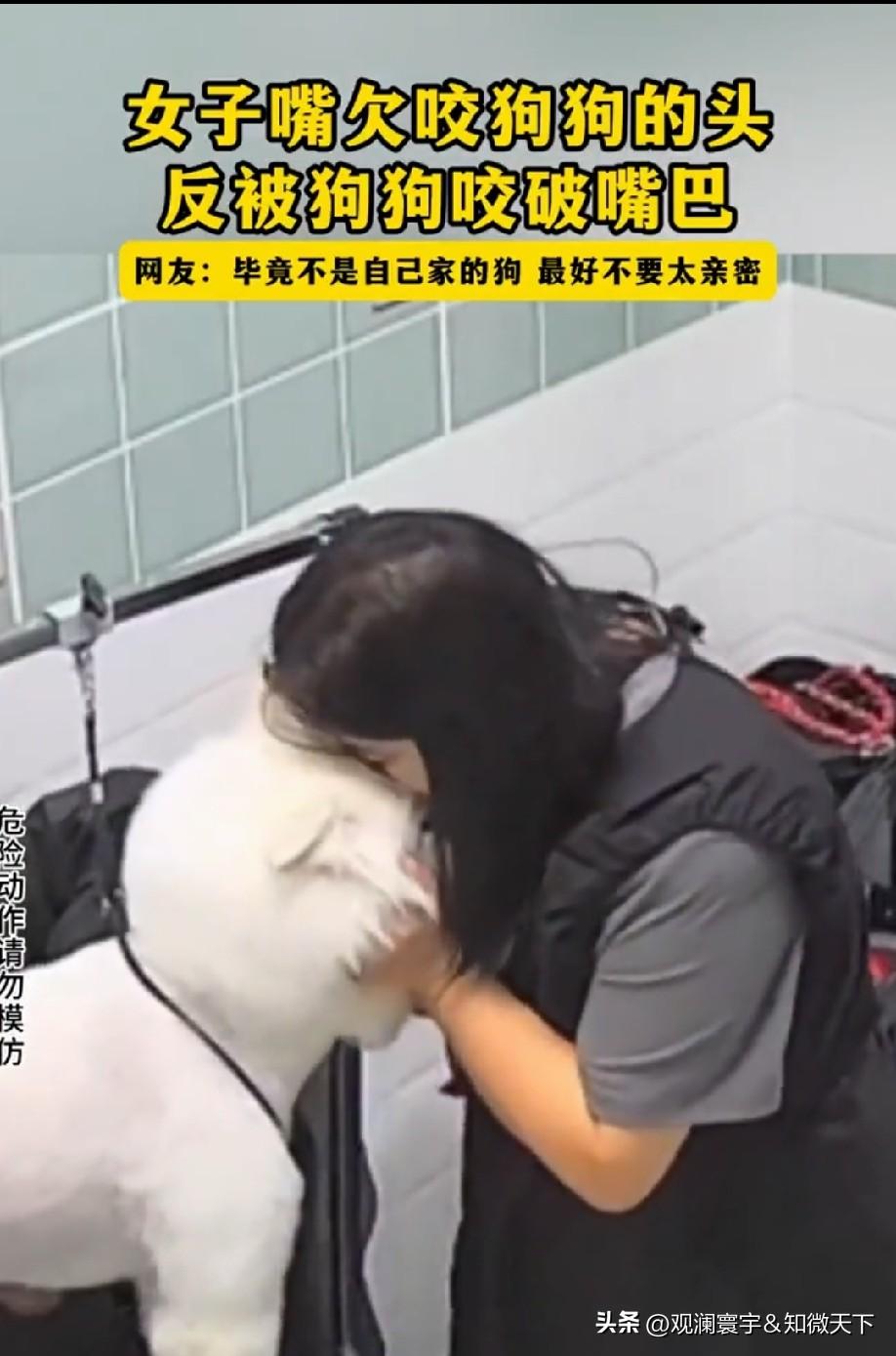女子凑上去亲了狗狗一口，估计是动作太突然，或者狗子本能反应没忍住，直接反手一口，