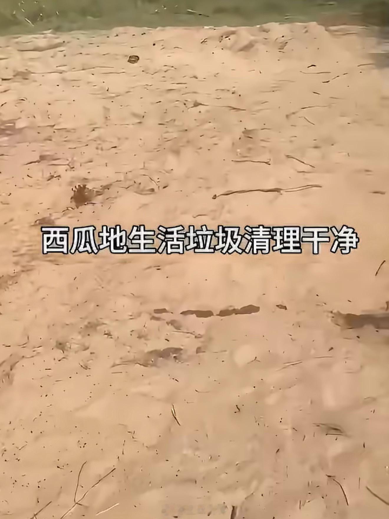 这是我的岛发清理记录回应拍完撤场不等于撒手不管，节目组这次拿着视频记录回应，海边