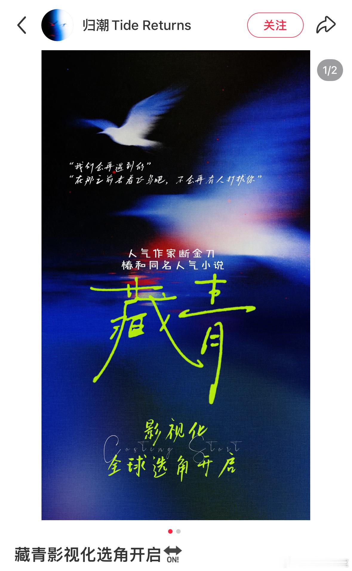 收发室来稿 《藏青》影视化（消息来源见图） 