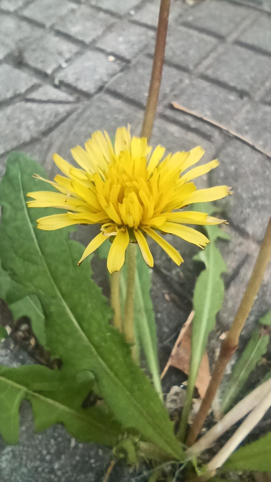 长得好看的女人，真的一定好命吗？看完千古往事，瞬间清醒了
 
很多人一辈子都在固