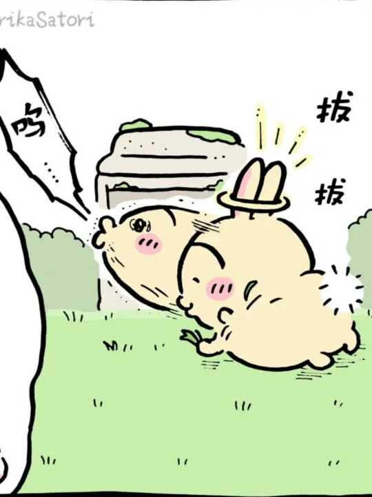 对不起宝宝 但是这个表情好好笑