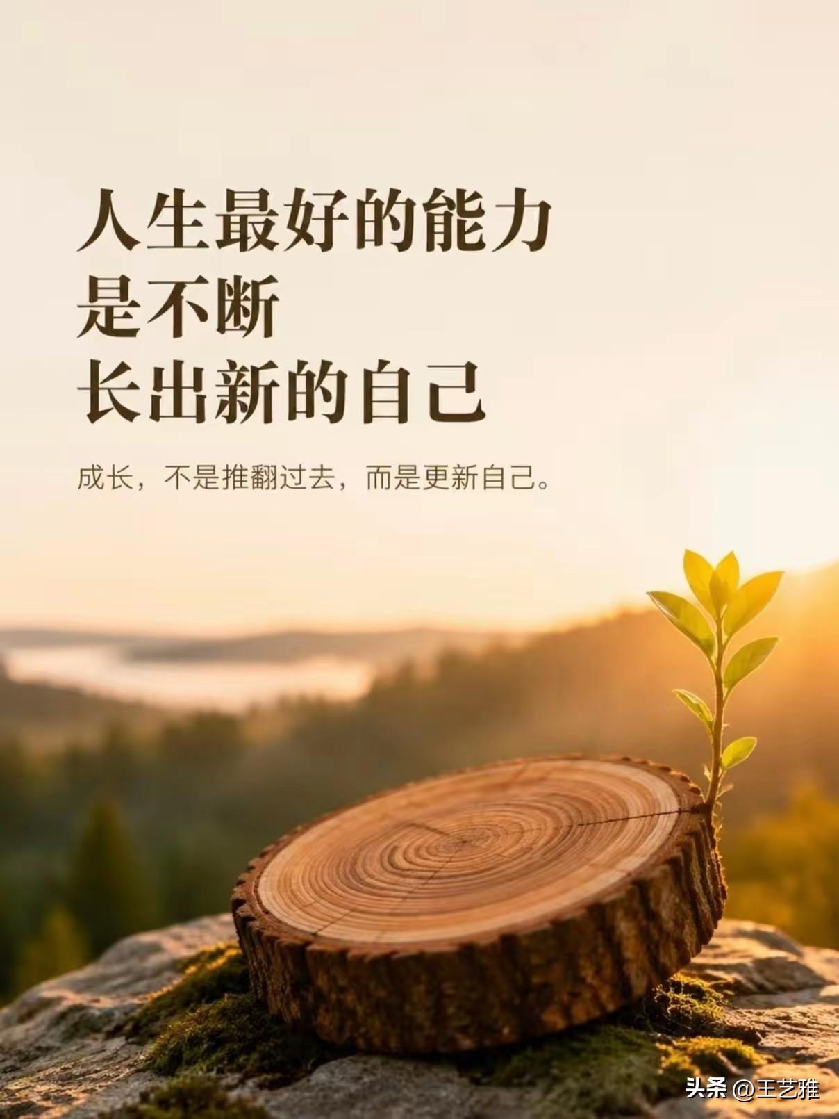 当初的​婚姻并没给我任何生活依靠，倒是逼迫我学会了很多求生本领。

没有给我永久