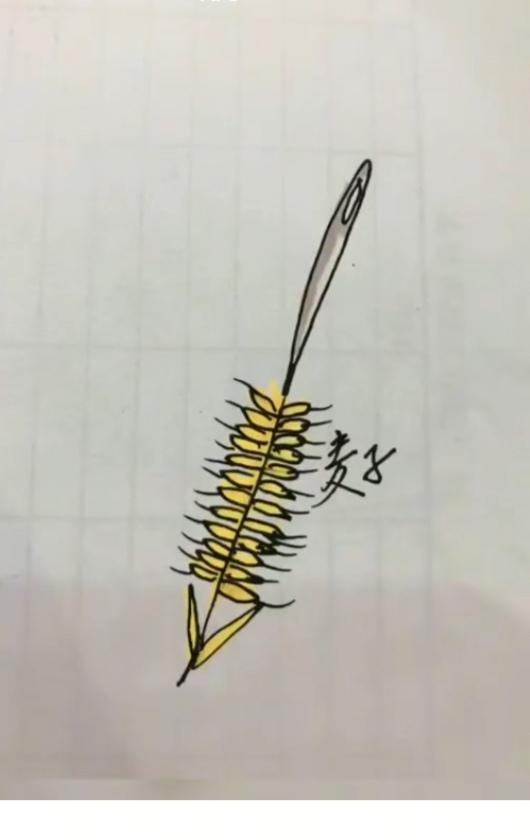 〔看图猜词语〕根据图中画面。猜个词语。温馨提示：五个字组成的词语。图中有针和小麦