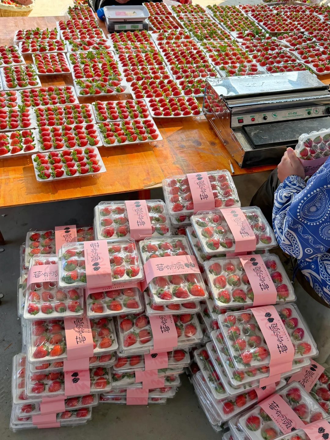 20多一盒的纯甜香野草莓，一次吃到爽！