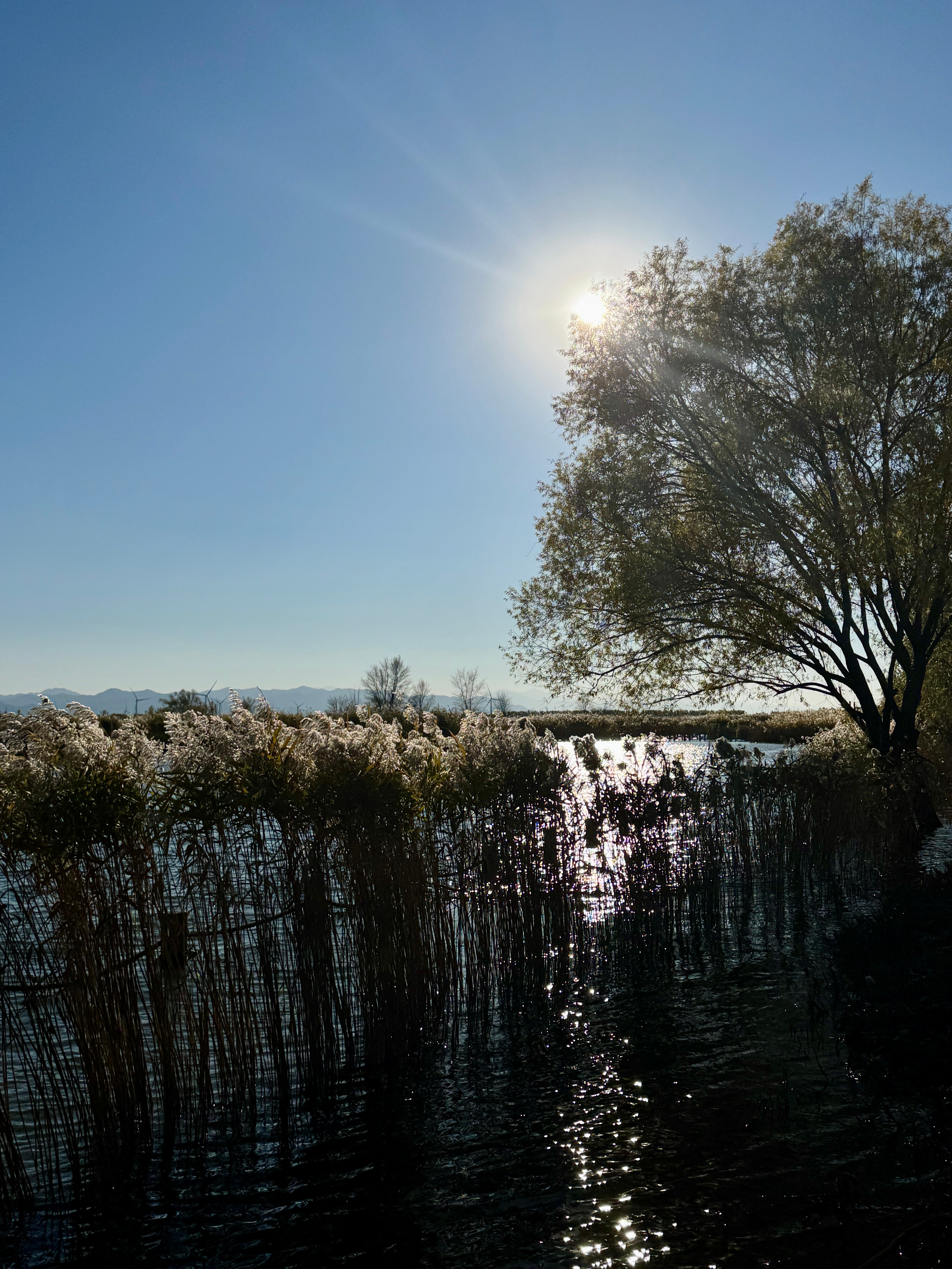 猫猫🐱狗狗🐶我我👸 ​​​