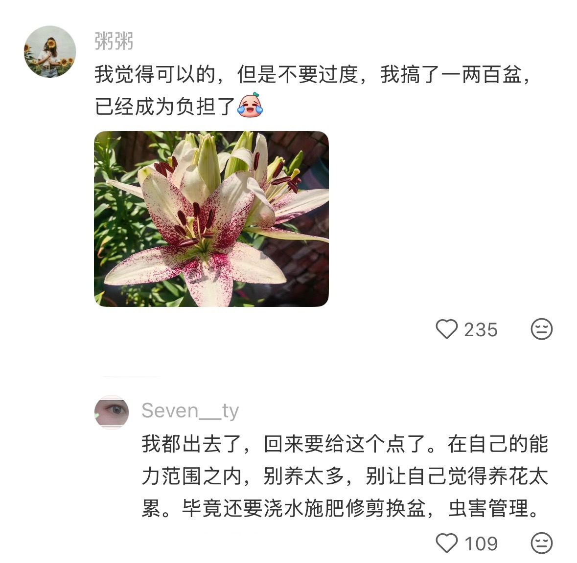 养花真的可以缓解压力吗 