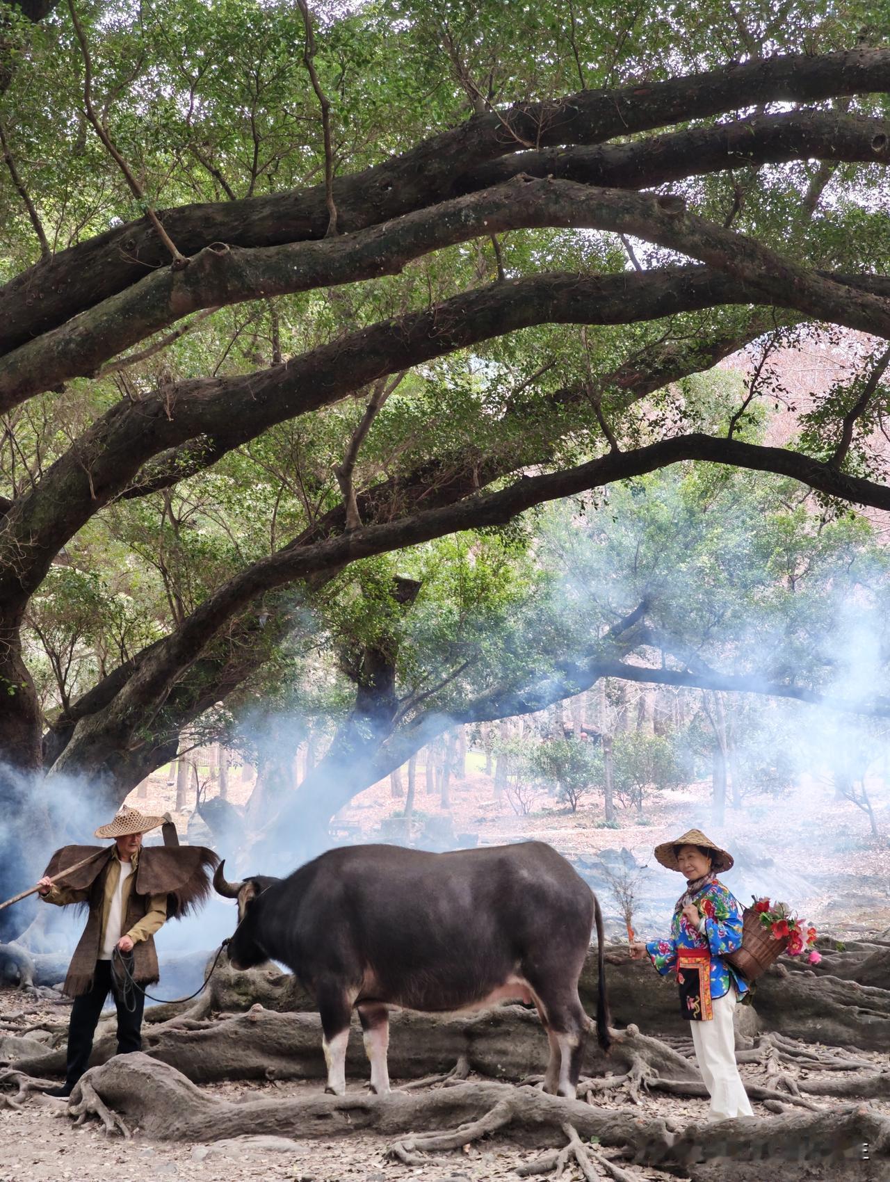 晒出你近期的原创摄影作品