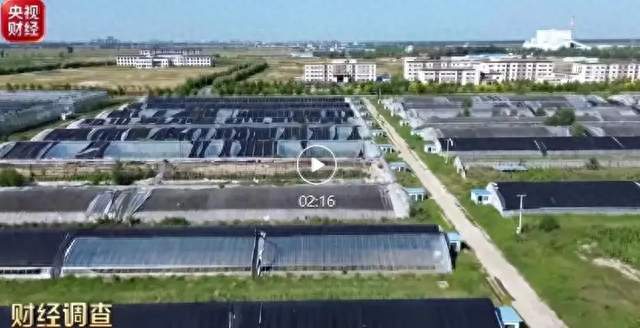 成立9天公司拿下1.2亿项目，留下5个棚子跑了，谁把它放进来的？