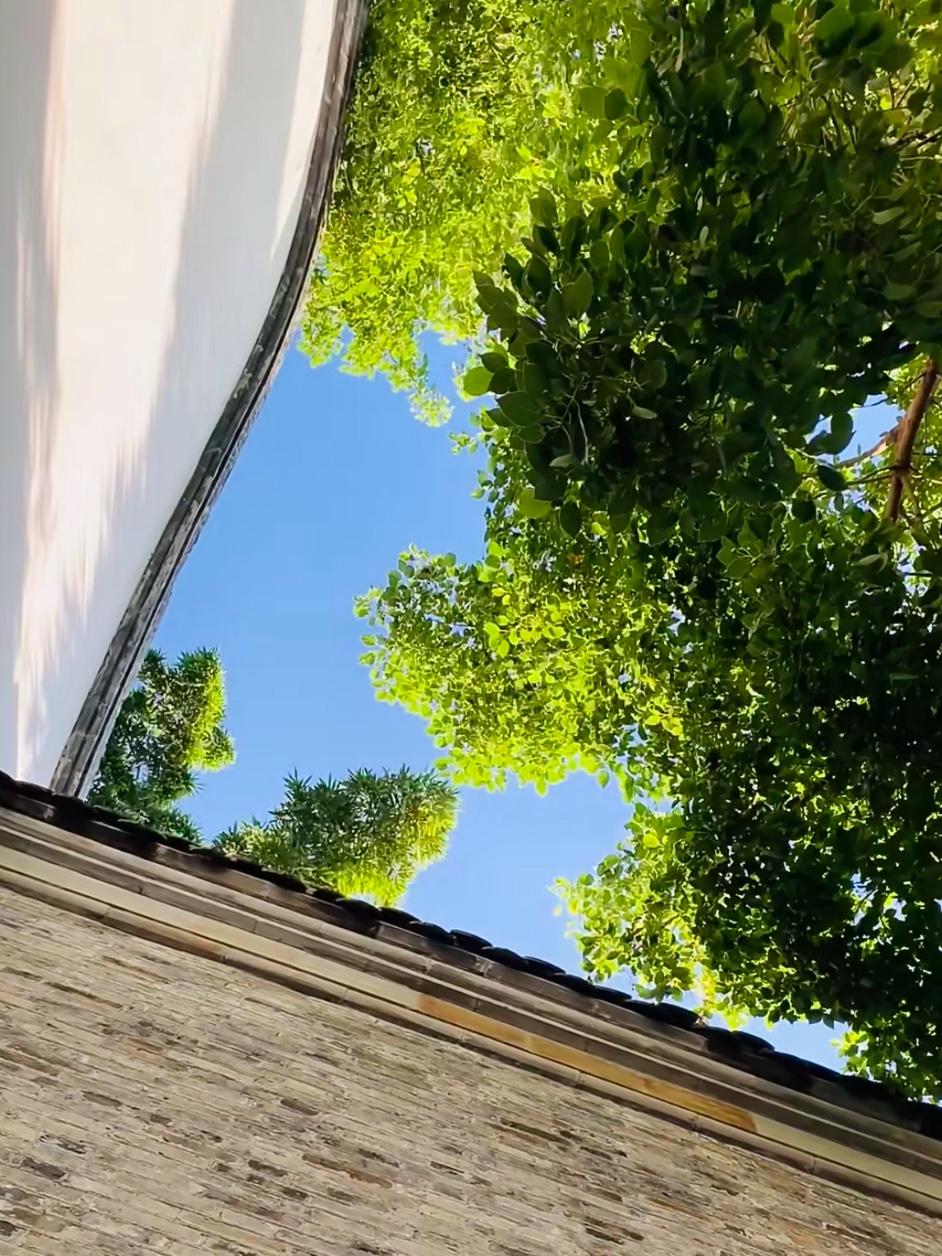 不能好好说话的家庭，
三代都富不起来！
开口就是抬杠，
闭口也是埋怨。

屁大点