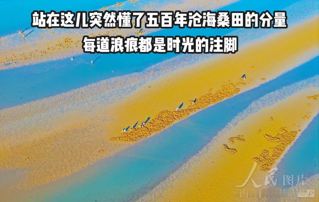 我的图片 抖音ai创作 户外徒步 滩涂上的精灵 航拍生态伦理