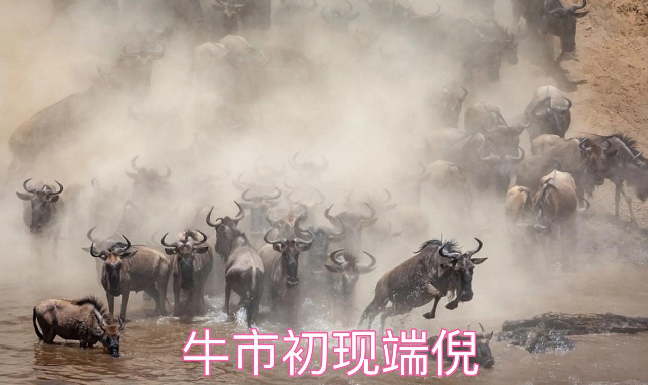 牛市初现端倪，尽管国际局势风云多变，但事关国运的关键节点，美国降息也进入下降通道