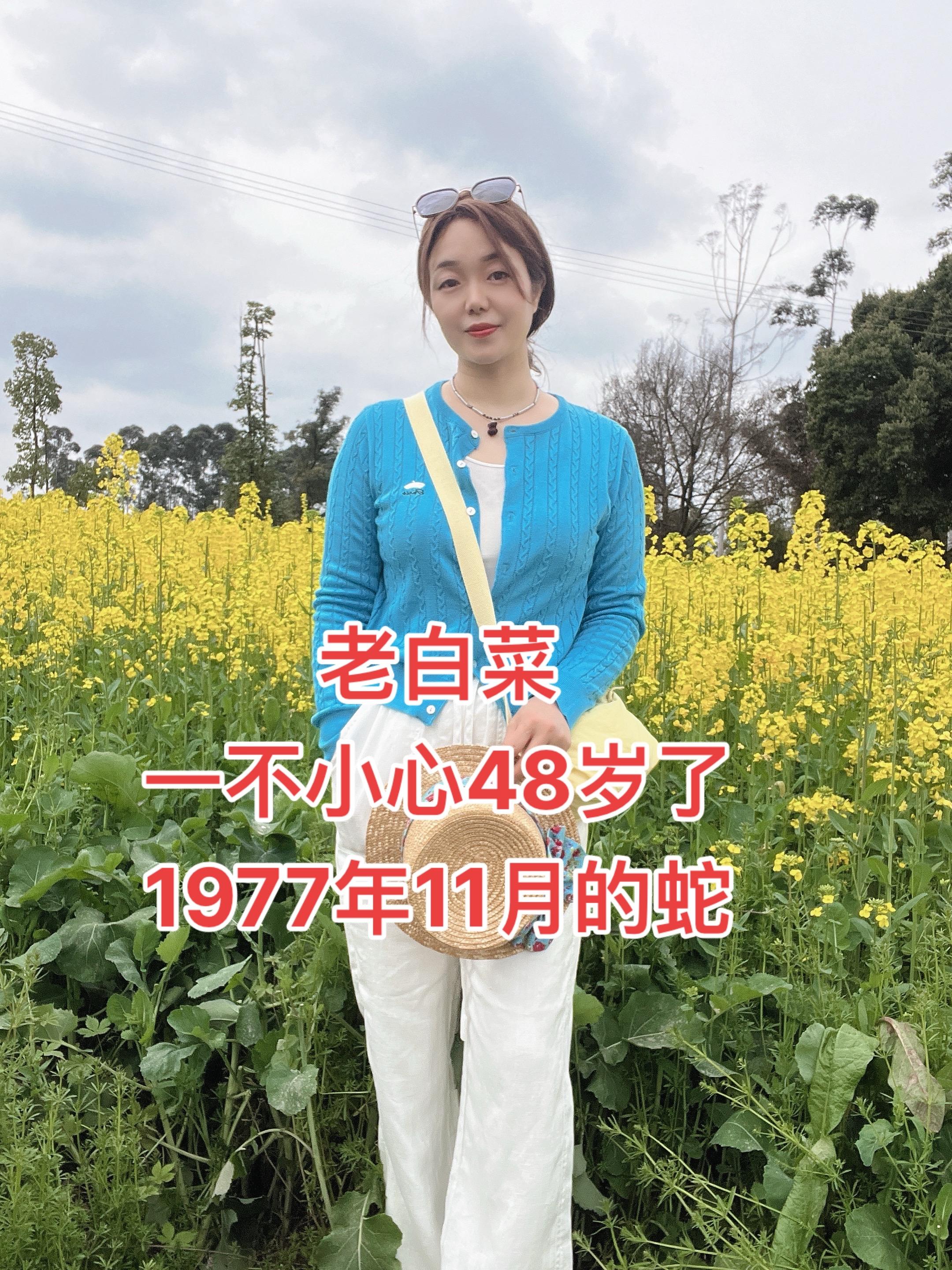 一首歌一个故事 经典老歌 上热搜