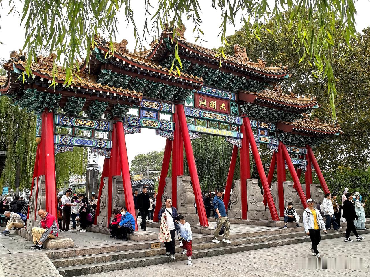 #明湖随手拍# 在济南的大明湖公园，这种植物随处可见 ，不知叫什么名字