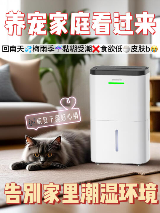 回南天宠物家庭哭了啊！湿气快退退退🗡️