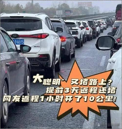 不少人为了避堵，特意提前两三天就上高速返程，自认为算准了车流规律，结果没想到全是