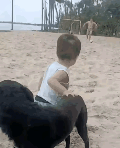 孩子：小时候是谁教我走路的？
爸爸：你狗叔教的。