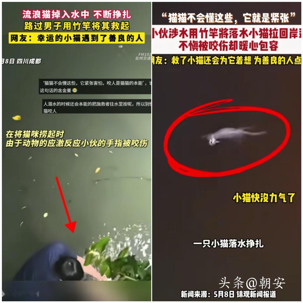破防了！

最顶级的善良，是救人被反咬，还心甘情愿替对方体谅。

成都深夜河边，