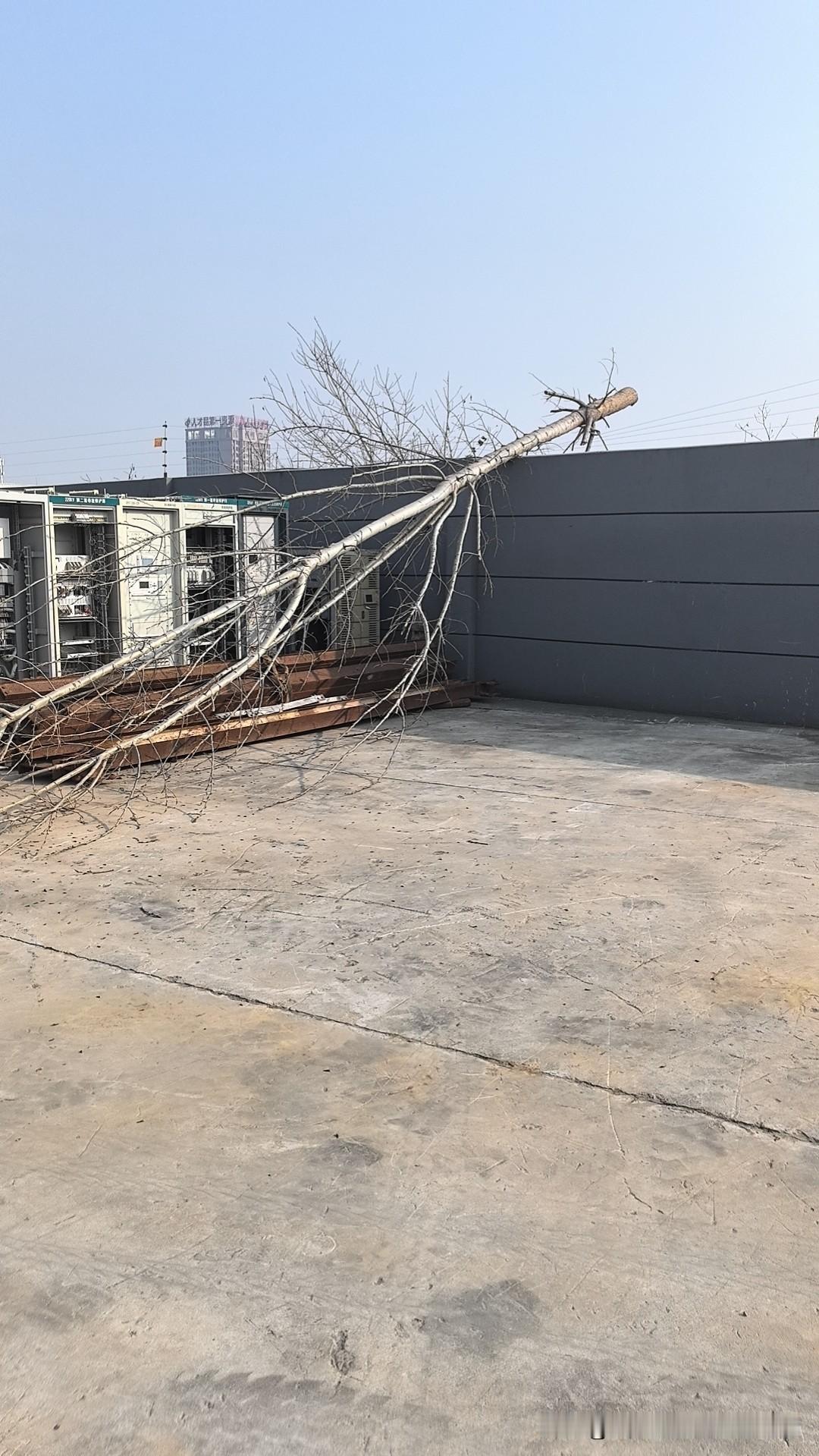 你怎么看新国标电动车的限速限速是好事，很好，安全第一，大力支持。