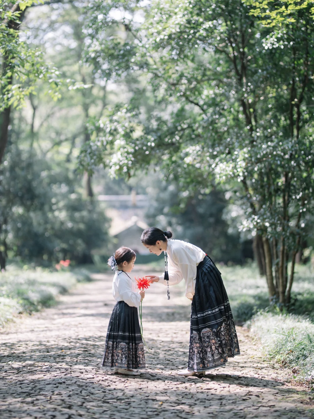 妈妈，你会像大S阿姨那样变成星星消失吗？