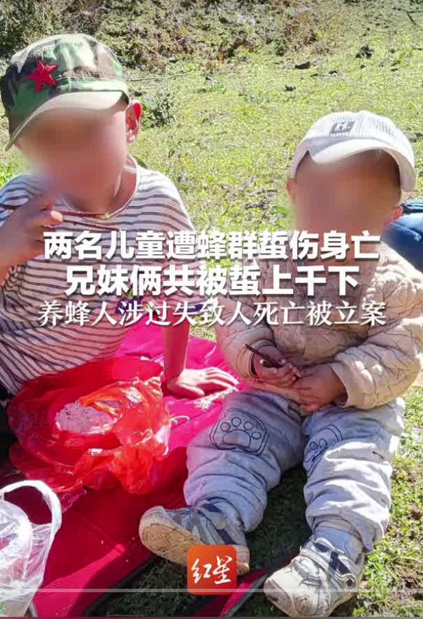 8 月 27 日，据红星新闻、澎湃新闻报道，云南牟定一对兄妹被胡蜂蜇伤意外离世的