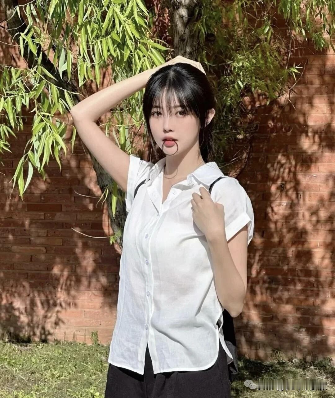 枫叶🍁|摄影：比校花还美！糟糕，是初恋的感觉高雅气质美女 枫叶美照 枫叶逆光写