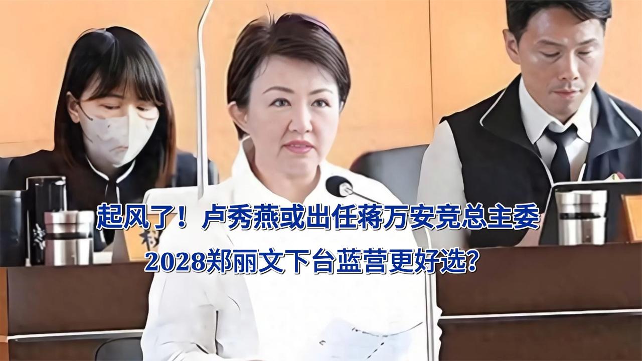 起风了！卢秀燕或出任蒋万安竞总主委 2028郑丽文下台蓝营更好选