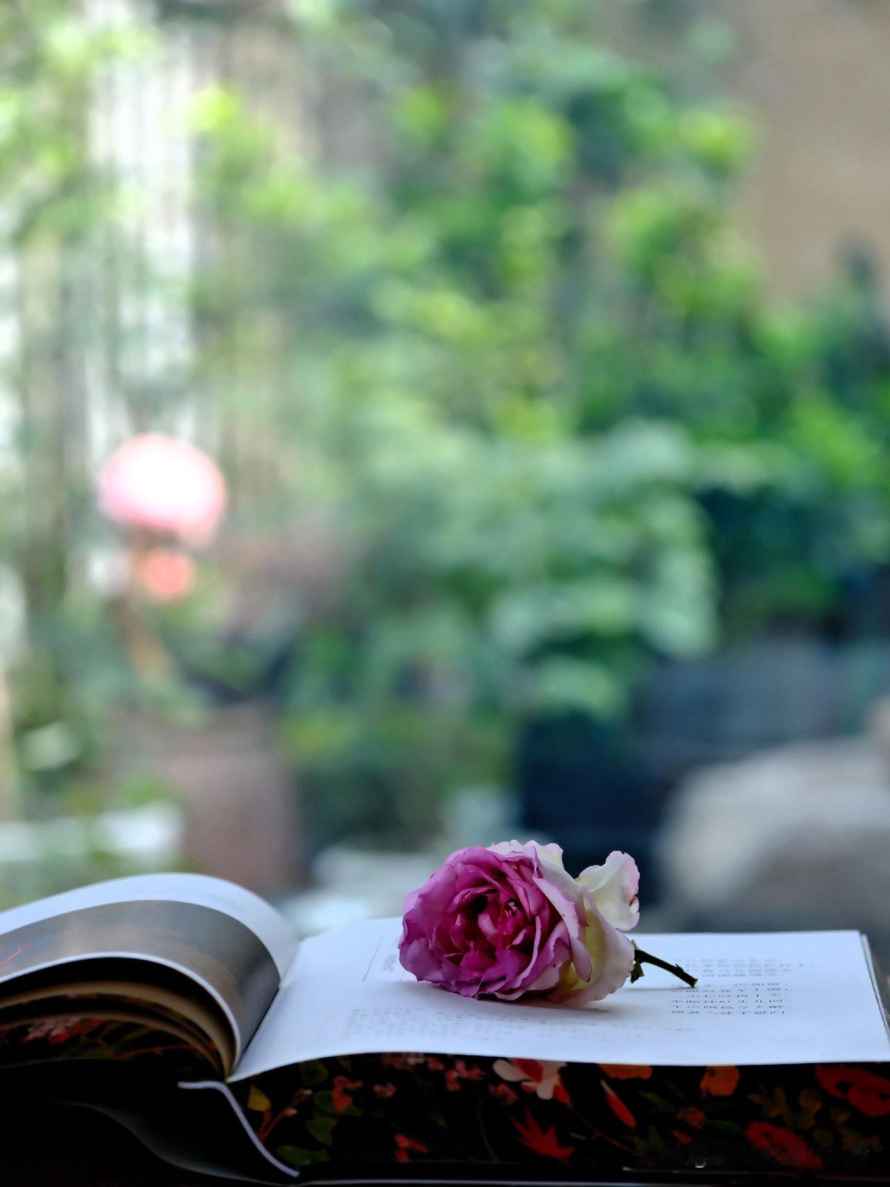 人这一辈子太不容易
不管是身份地位多高
也无论才华几何，钱财几多
谁的一生都免不