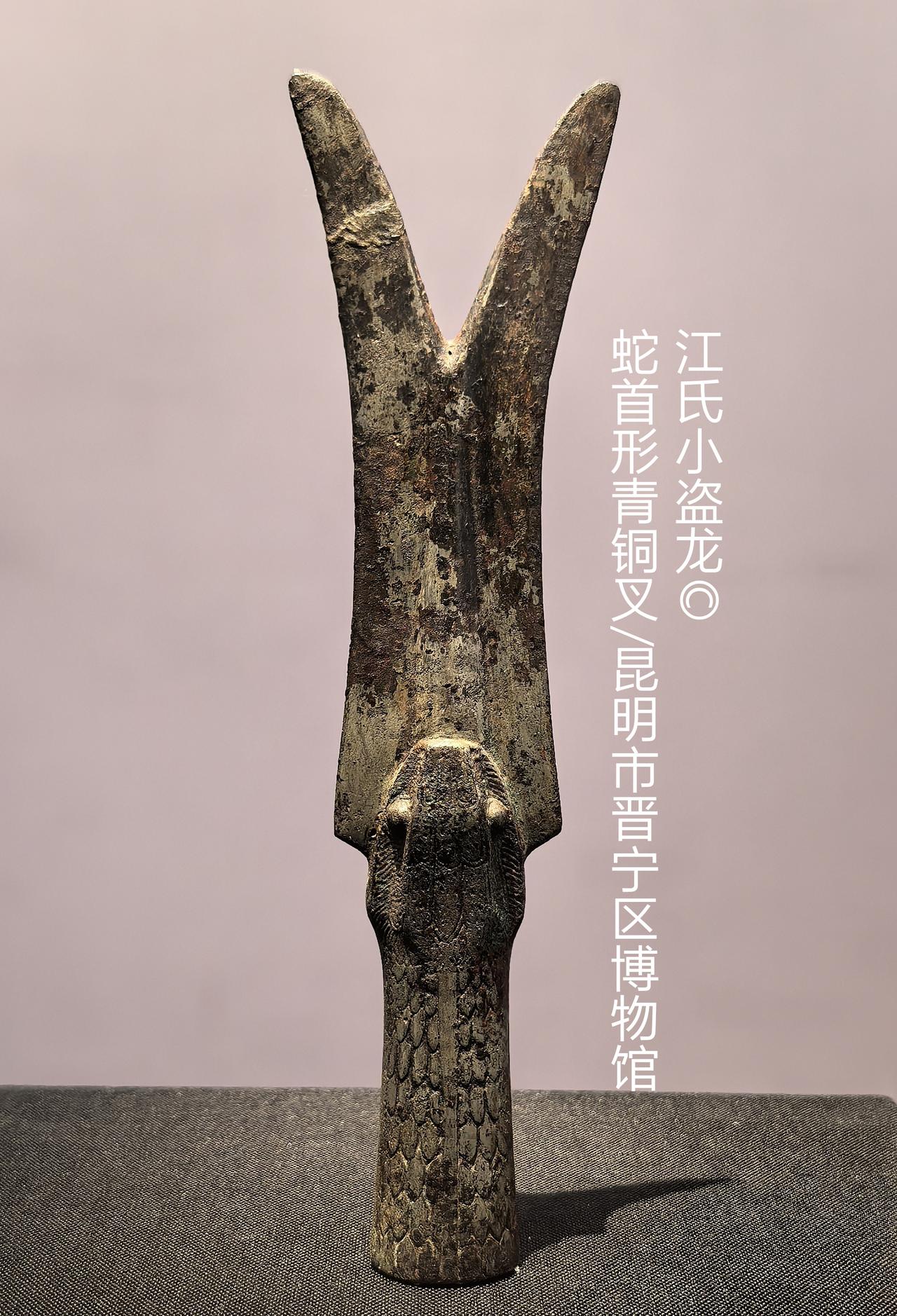 王权仪仗器——蛇首形青铜叉
       蛇首形青铜叉，1995年出土于云南昆明