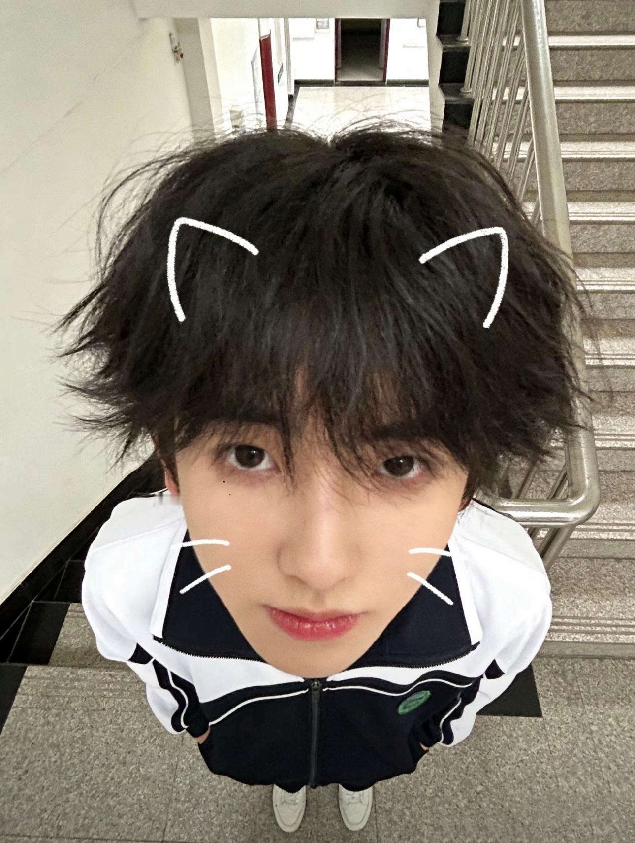 这是一只来自韩国的小鼠🤏🏻 