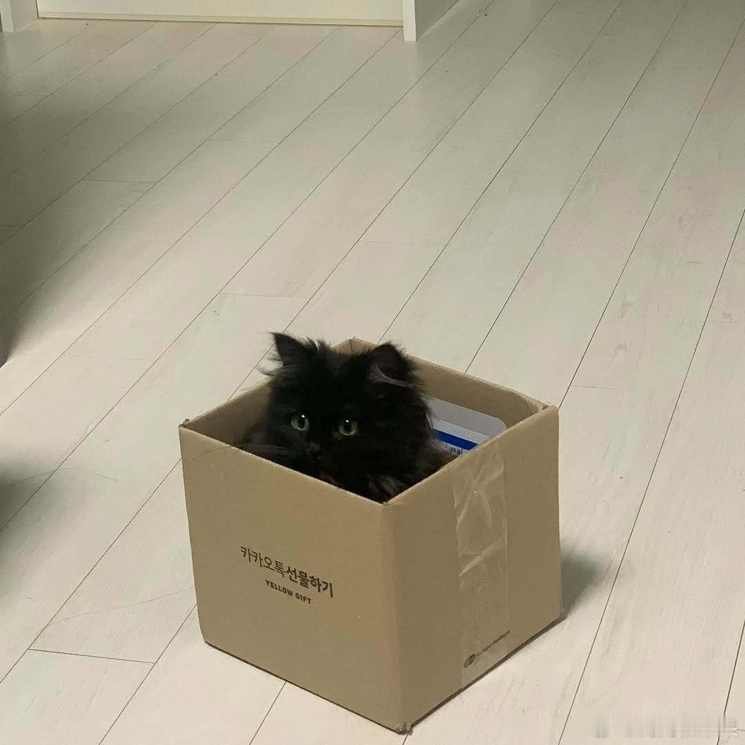 🐱📦cr：docheor. ​​​