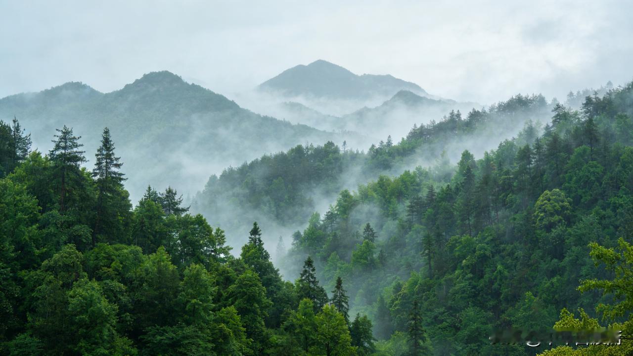 清明：父母走后，我余生只剩无尽思念
 
又是一年清明，细雨如针，密密麻麻扎在心头