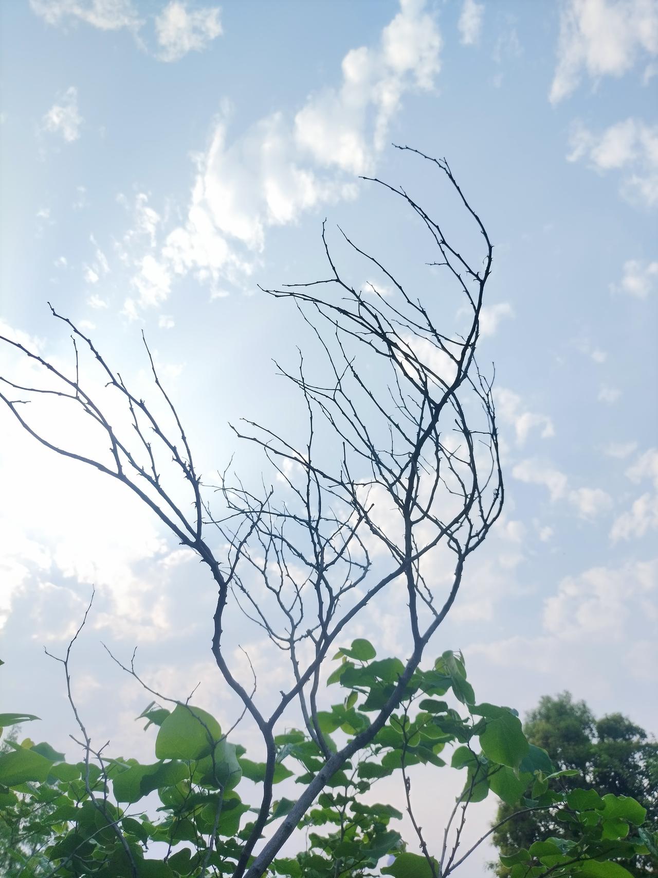 人在迷茫的时候，
可以多做一些无用的事
比如读一些无用的书
看一些无用的新闻
做