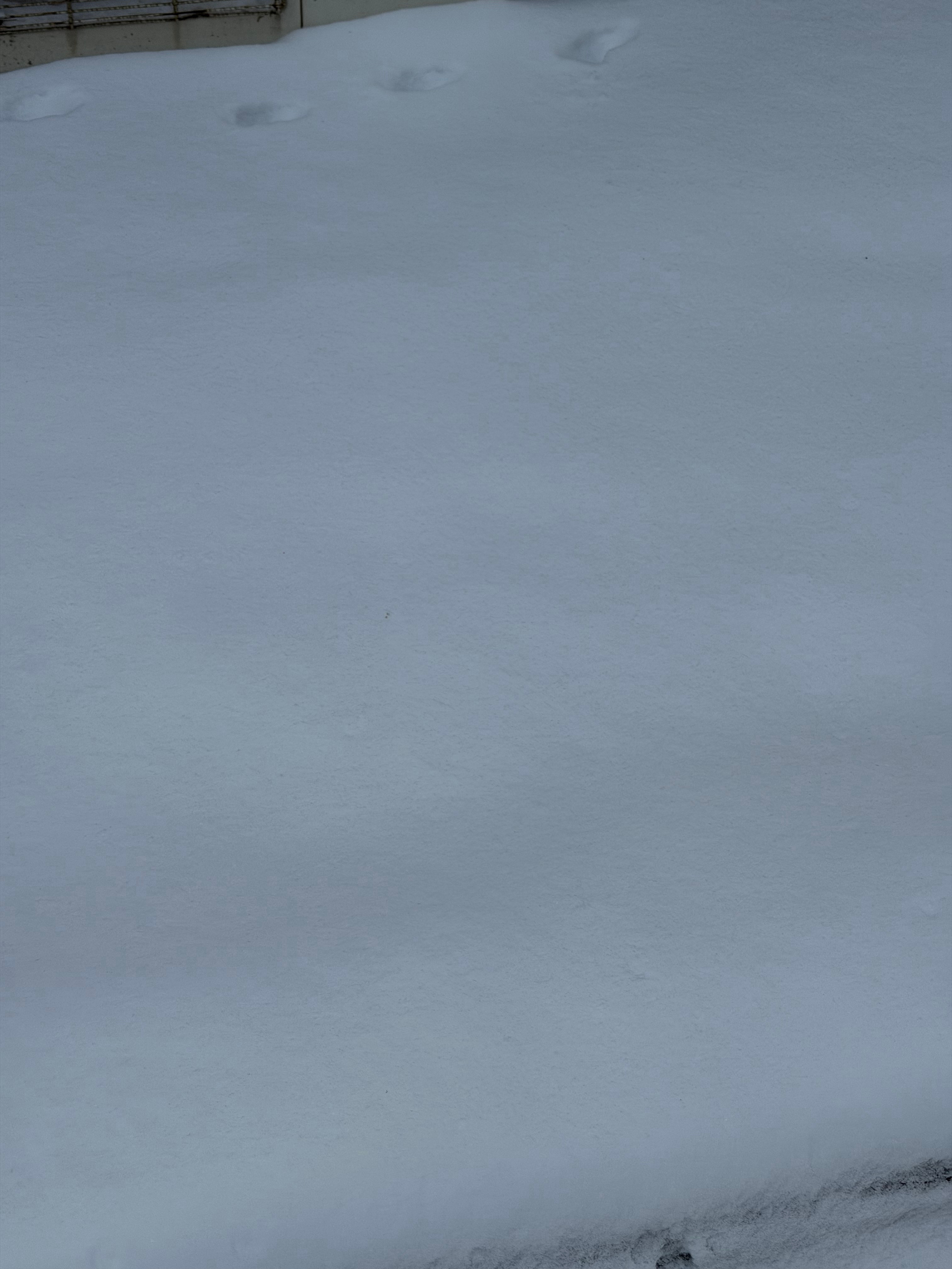 吐槽一万遍下雪还要上班6 