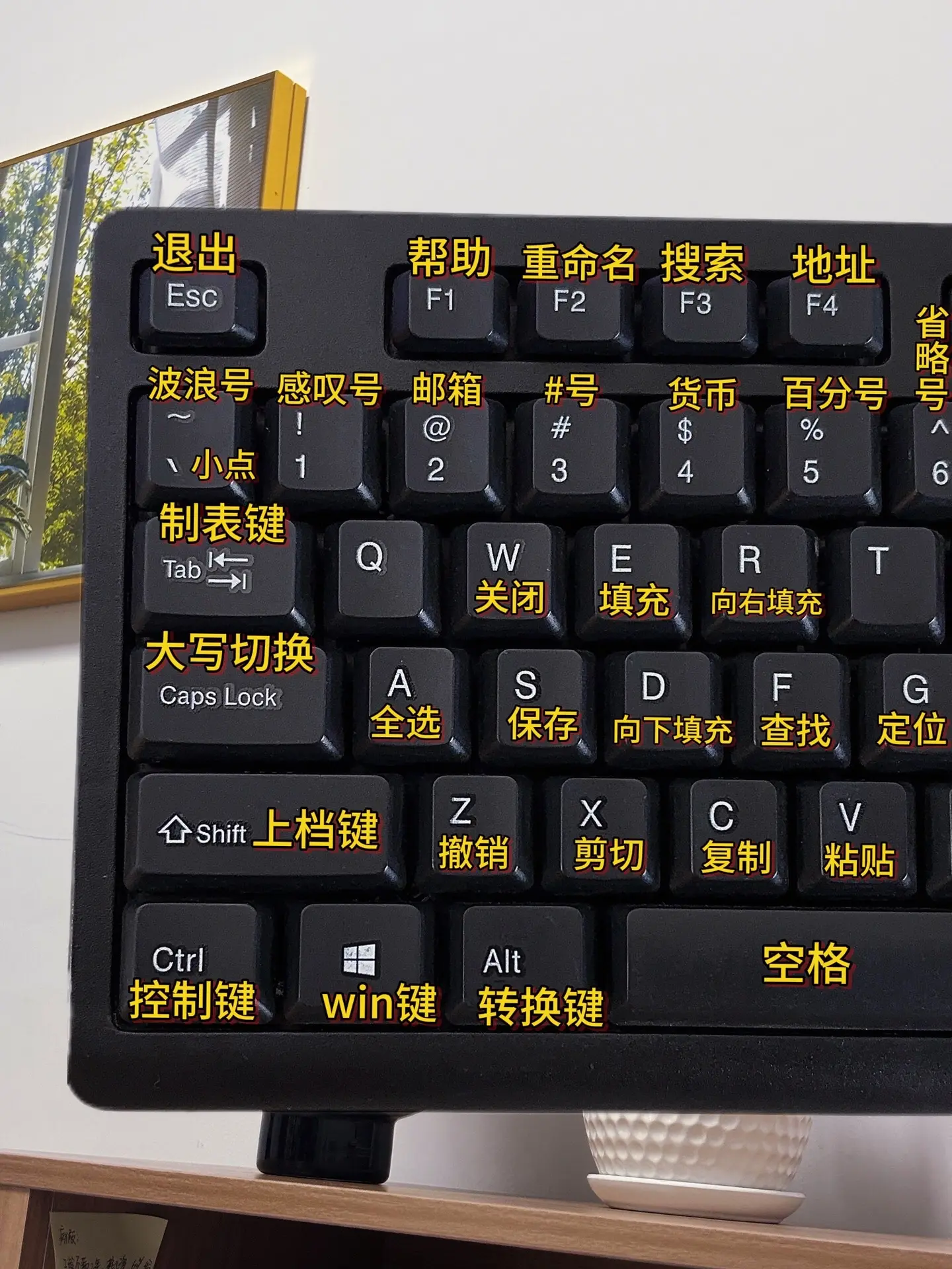 居然还有人不会用电脑，太笨了。