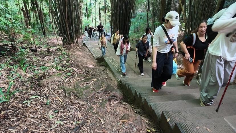 凤栖山徒步记｜难走的不是山路，是沿途的心气。
 10月6日国庆假期，从街子古镇出