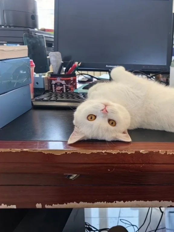 这些评价与总结，早晚用得上