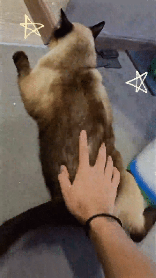 感受到了 ​​​