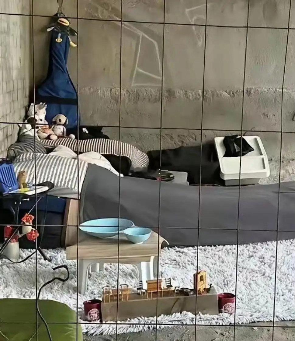 住桥洞都能住这么精致，以前一定是一个有钱人吧！ 
