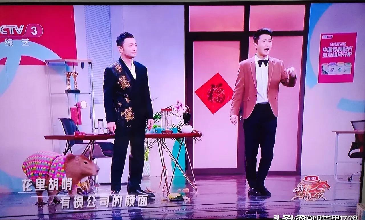 你敢信？
尼格买提春晚摔牌社死，杨帆坐10年冷板凳逆袭成央视新宠！
2024年春