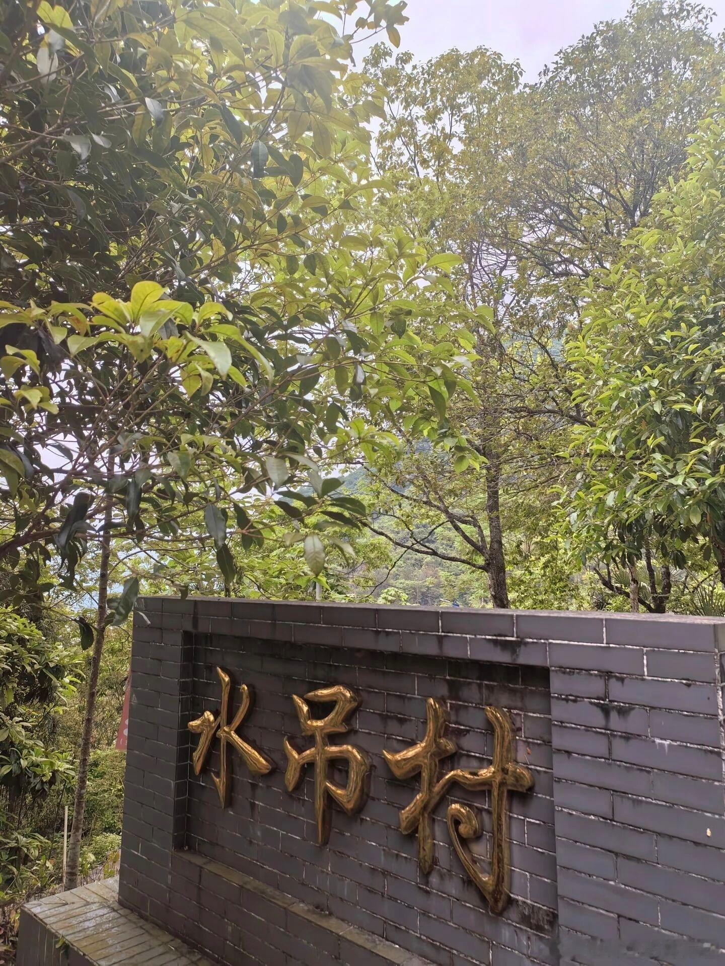 广东不用开空调的夏日天堂！藏在阳山深山的悬崖村水吊村，依山傍崖空气清爽，雨后悬崖