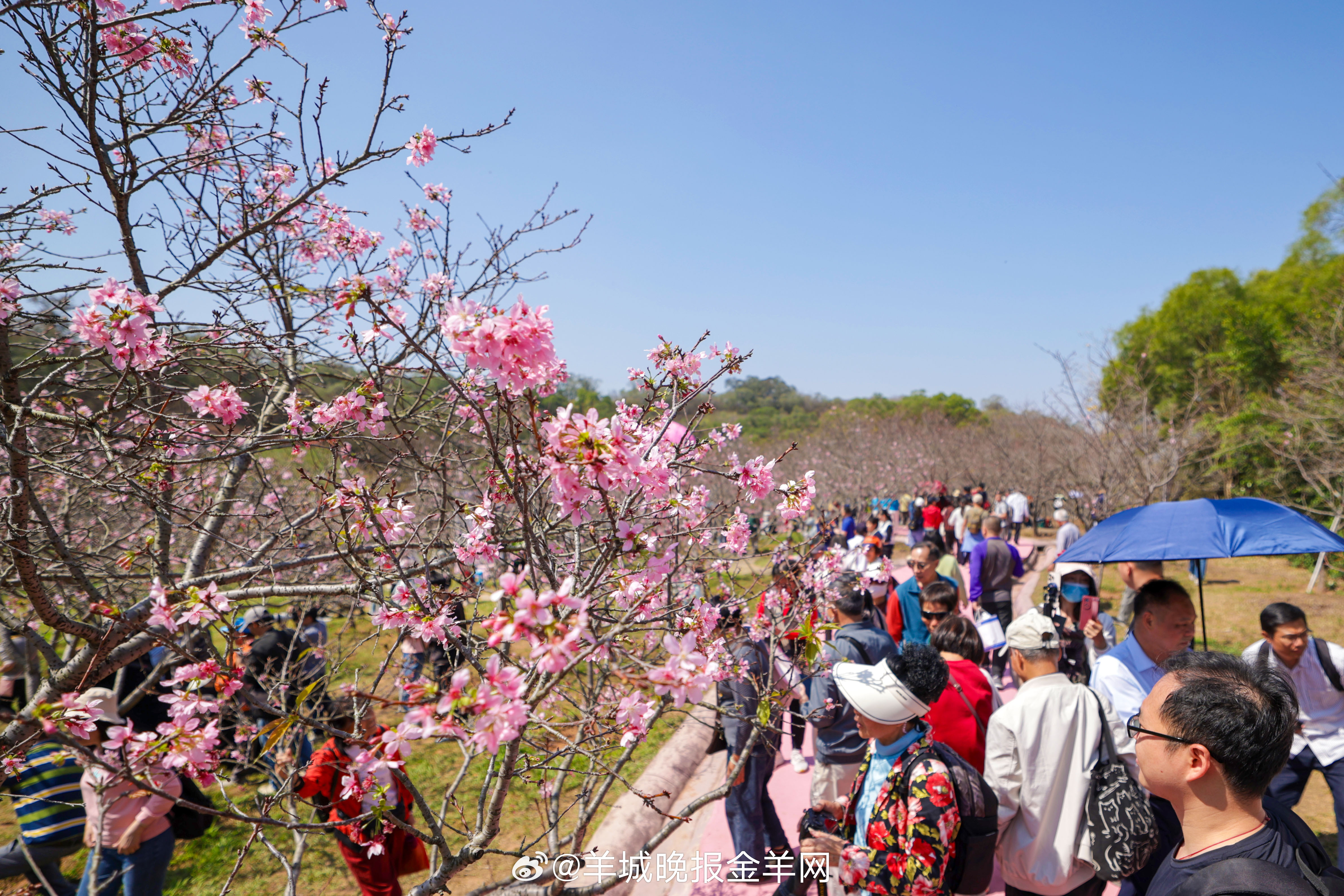 #早安#人生的趣味，就藏在日复一日的生活里。那些让我们沉浸其中的爱好，那些让我们