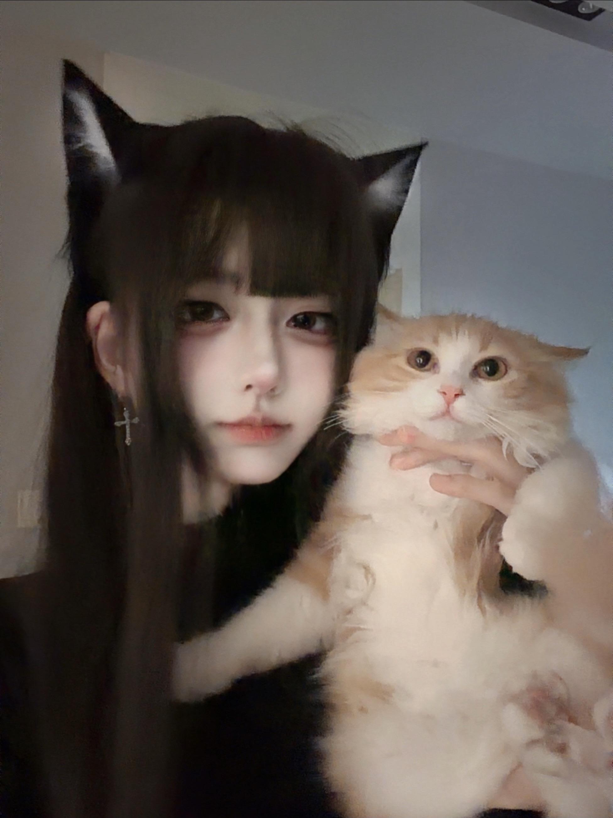 几个萌物