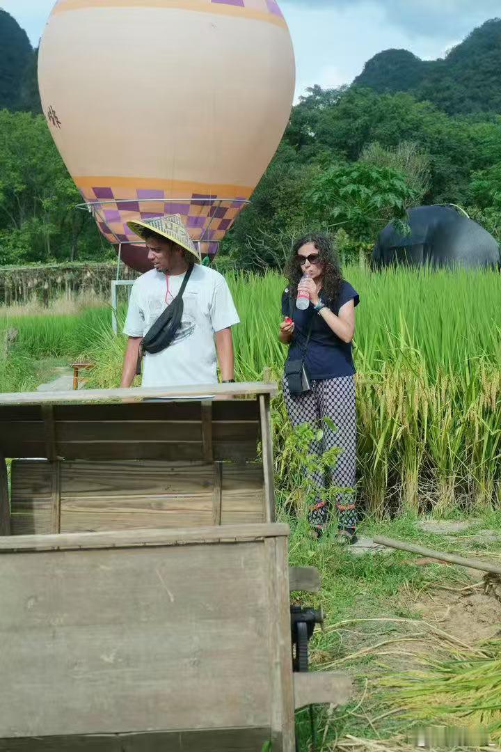 第一批外国人已经开始回农村种地了 秋天的乡下也太有魅力，不少外国朋友跑来田间体验