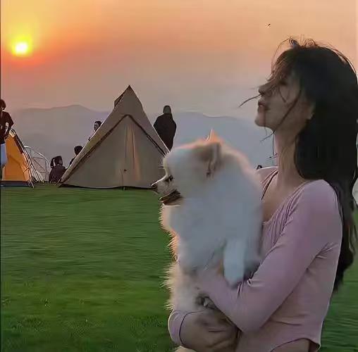 今早逛超市时撞见了租我房子的那对年轻人，一瞬间，心里竟生出了不想再把房子租给他们