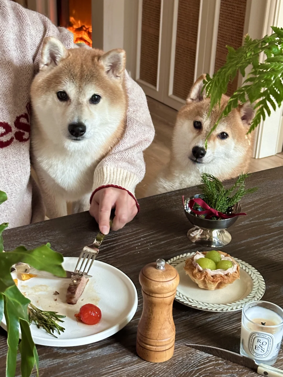 宝宝 你成斗鸡眼啦👀