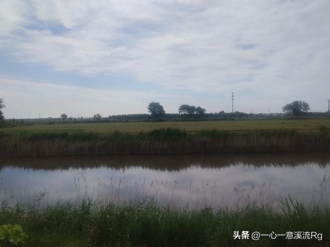 自己有地方喂，有事情做，到时还有猪肉吃很好，自给自足的田园生活！[赞][赞]