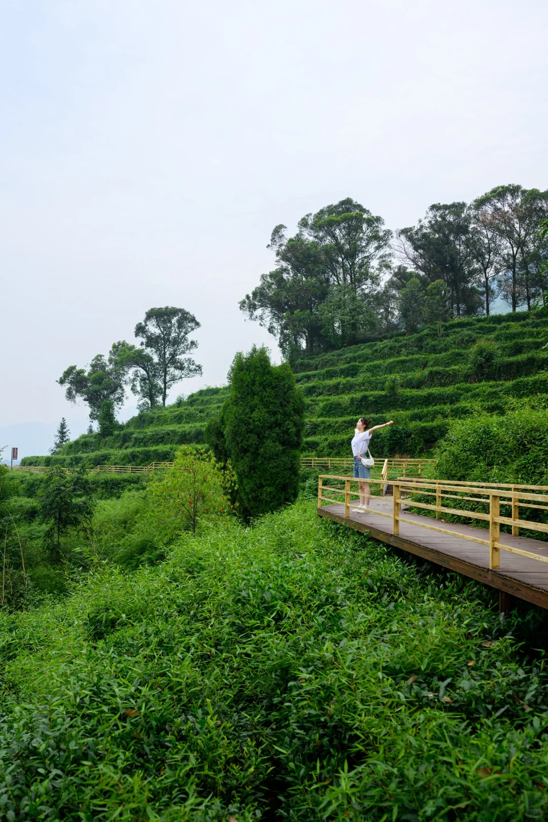 成都周边｜适合周末放空的小众宝藏地‼️