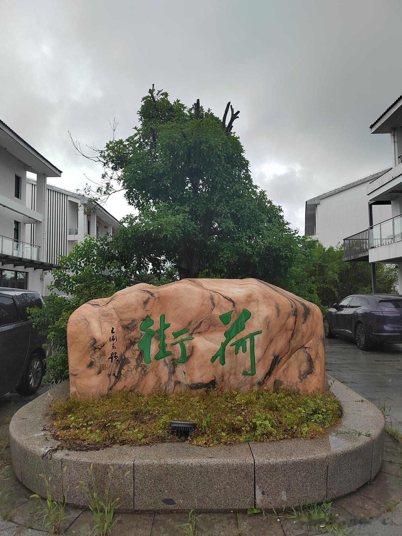 江苏广播听友团夏日探鲜记—荷街食堂的自助午餐

听友团中午十二点半从荷花荡景区出