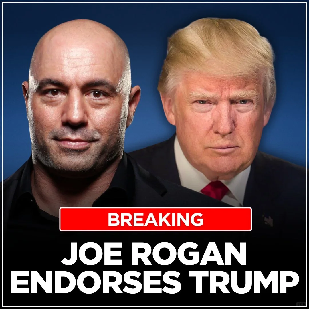 川普胜选最燃历史时刻： 1⃣2⃣ 特朗普参加了乔·罗根的播客节目。 新...