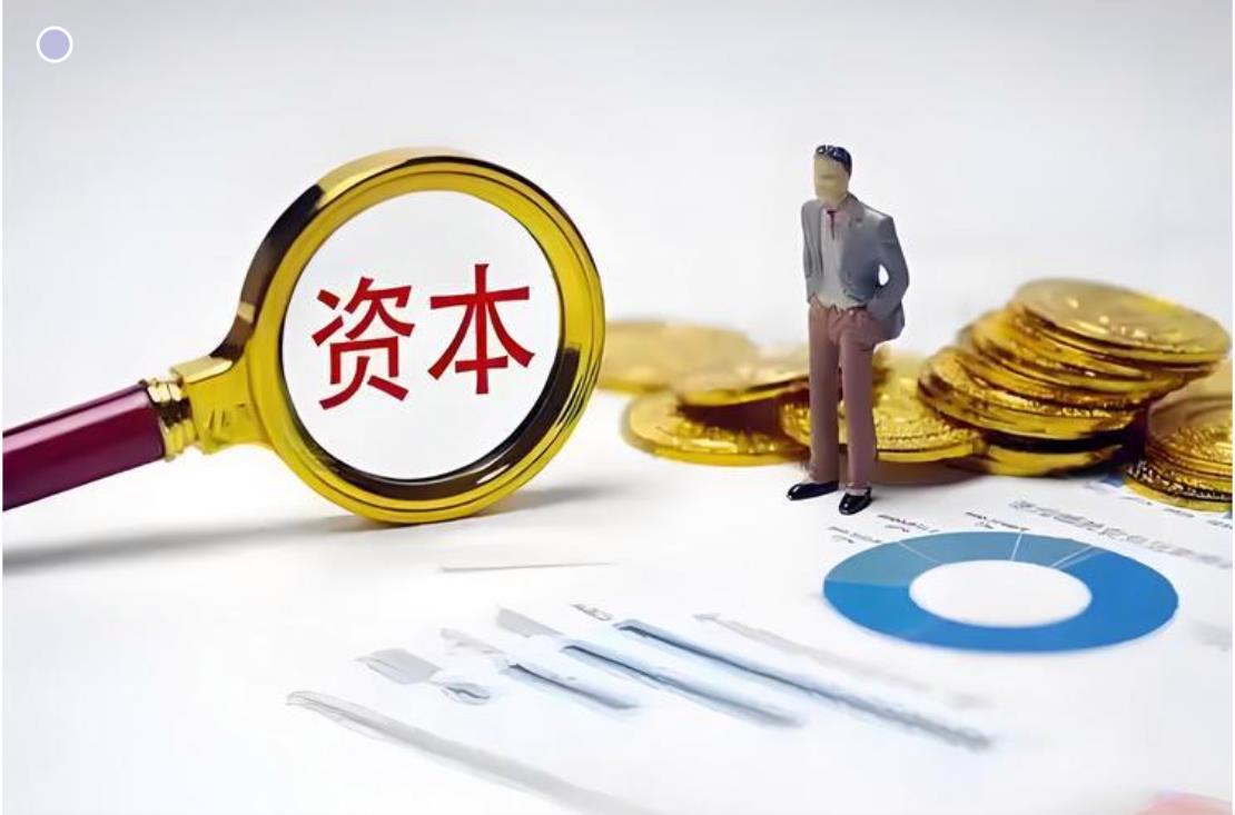 资本集团依附当下的权力、法律垄断市场、收割财富，靠着权力的庇护攫取最大利益。
一